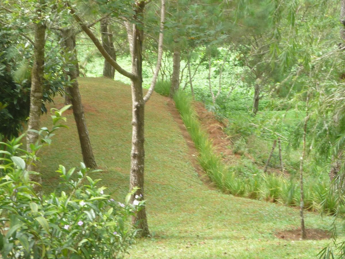 Hotel Casa Gaia Cobán Kültér fotó